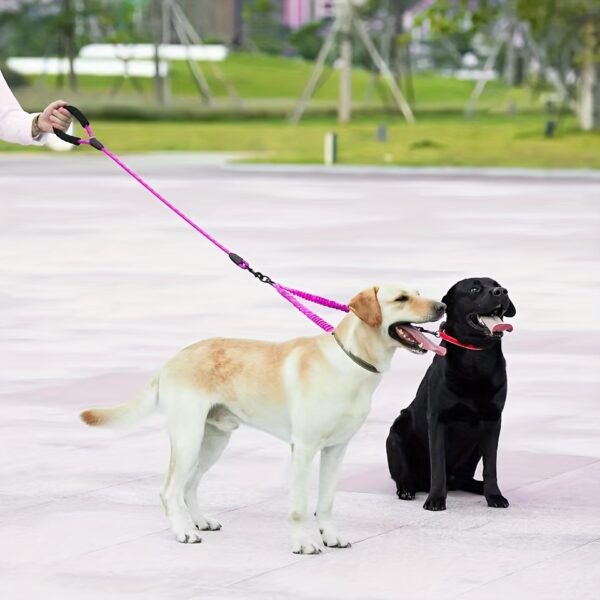 Two Dog 360 Swivel No Tangle Double Shock Absorbing Reflective Bungee Training Leashes, Double Dog Leashes for Walking - Image 14