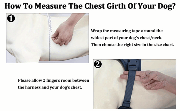 Soft Padding Comfortable Dog Harness - No-Pull with Dual Leash Clips - Perfect for Walking and Training Your Pet - Image 54