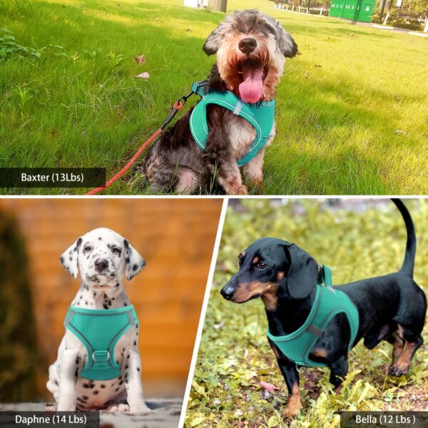 Joytale Reflective Dog Harness and Leash Set - Comfortable, Breathable Mesh Vest with Padded Nylon Lead for Small to Medium Breeds - No-Choke Design with Dual D-Ring & Poop Bag Dispenser, JOYTALE - Image 13