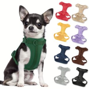 Soft Padding Comfortable Dog Harness - No-Pull with Dual Leash Clips - Perfect for Walking and Training Your Pet