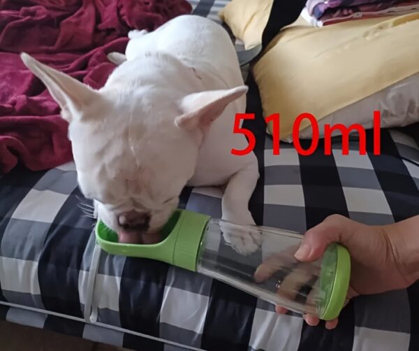 Portable Dog Water Bottle And Bowl Dispenser - Keep Your Pet Hydrated On-The-Go - Image 19