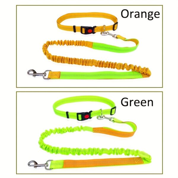 Durable Elastic Nylon Dog Leash for Running and Walking - Pet Traction Leash with Comfortable Grip - Ideal for Active Dogs and Pet Owners - Image 4