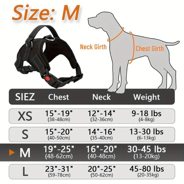 Doglee Ultimate No-Pull Reflective Adjustable Dog Harness with Handle - Premium Comfort, Easy Walking, and Enhanced Visibility - Ideal for Training, Outdoor Adventures, and Everyday Use - Image 25