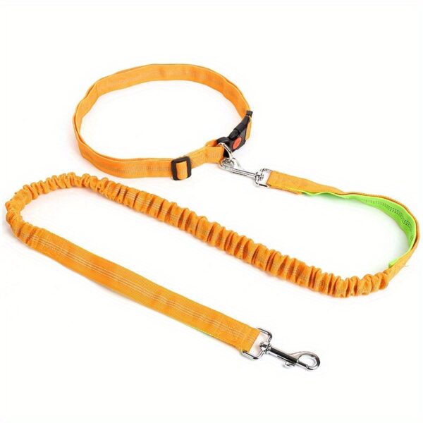Durable Elastic Nylon Dog Leash for Running and Walking - Pet Traction Leash with Comfortable Grip - Ideal for Active Dogs and Pet Owners - Image 11