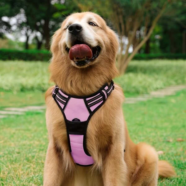 Adjustable No-Pull Dog Harness with Padded Vest and Dual Leash Clips - Prevents Choking and Provides Comfortable Walking Experience - Image 42