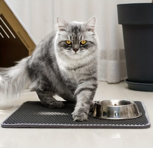 Honeycomb Double Layer Cat Litter Trapping Mat, Non-slip Washable Cat Cleaning Mat For Pet Toilet Kennel Litter Box - Image 22