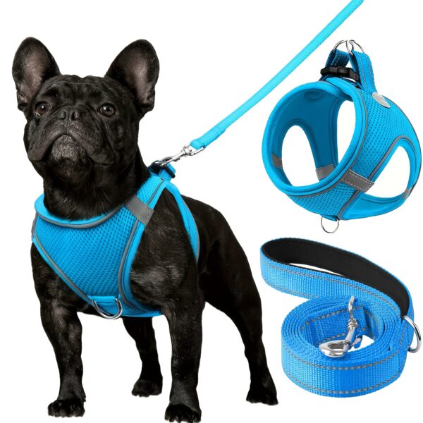 Joytale Reflective Dog Harness and Leash Set - Comfortable, Breathable Mesh Vest with Padded Nylon Lead for Small to Medium Breeds - No-Choke Design with Dual D-Ring & Poop Bag Dispenser, JOYTALE - Image 10
