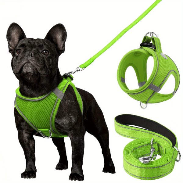 Joytale Reflective Dog Harness and Leash Set - Comfortable, Breathable Mesh Vest with Padded Nylon Lead for Small to Medium Breeds - No-Choke Design with Dual D-Ring & Poop Bag Dispenser, JOYTALE - Image 12