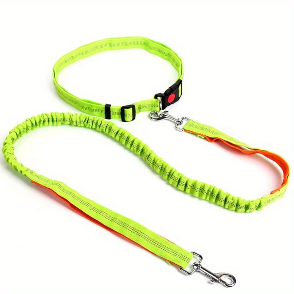 Durable Elastic Nylon Dog Leash for Running and Walking - Pet Traction Leash with Comfortable Grip - Ideal for Active Dogs and Pet Owners - Image 13