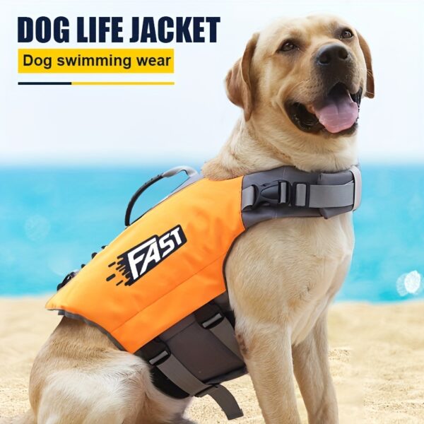 High-Visibility Orange Dog Life Jacket with Gray Accents - Durable Polyester, Adjustable Safety Swim Vest for All Dog Sizes with Easy-Wear Straps & Large "FAST" Print - Perfect for Summer Beach & Pool Activities, Beach Safety Gear|Adjustable Dog Jacket|Du - Image 2