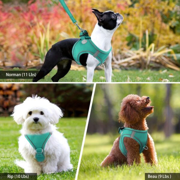 Joytale Reflective Dog Harness and Leash Set - Comfortable, Breathable Mesh Vest with Padded Nylon Lead for Small to Medium Breeds - No-Choke Design with Dual D-Ring & Poop Bag Dispenser, JOYTALE - Image 15