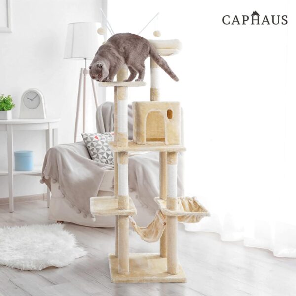 CAPHAUS Tall Cat Tree for Indoor Cats, Modern Cute 70-Inch Climbing Play Tower with Top Perch for Large Kittens, Multi-Level Cat Activity Tree w Scratching Posts, Hammock, Cat Cave Condo - Image 17
