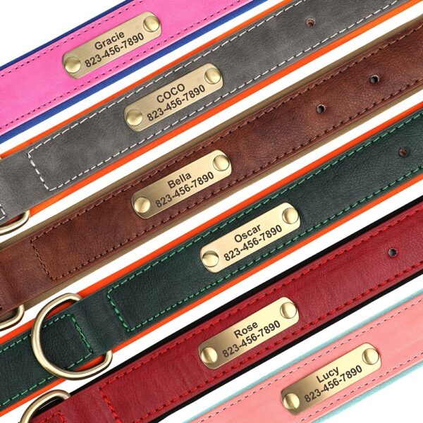 [Custom Dog Collar] Soft Padded Custom Engraved Dog Collar with ID Nameplate - Adjustable Pet Collars for Small to Large Dogs - Solid Pattern, Durable Material, Personalized - Image 8