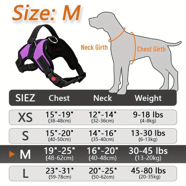 Doglee Ultimate No-Pull Reflective Adjustable Dog Harness with Handle - Premium Comfort, Easy Walking, and Enhanced Visibility - Ideal for Training, Outdoor Adventures, and Everyday Use - Image 31