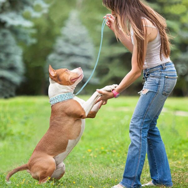 Spiked Fashion Dog Collar Set - Durable, Adjustable, Stylish Design for Training, Walking, and Pet Control - Includes Matching Leash for a Perfect Pet Accessory - Image 39