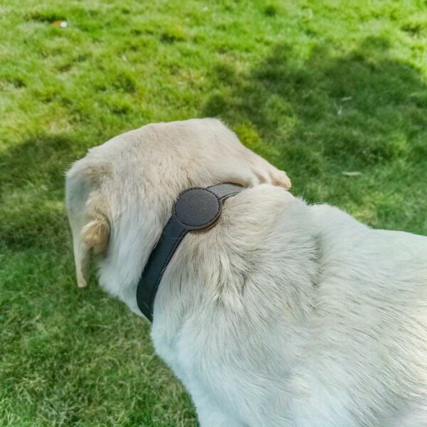 Dog Collar For Airtag Protective Tracker, Waterproof Pet Dog Anti-lost Positioning Silicone PU Collar Anti-lost Pet Cat Dog Collar - Image 31