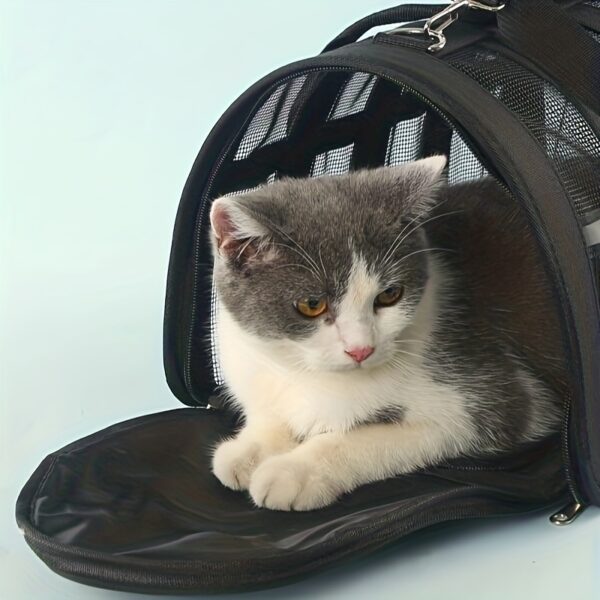 Dog Carrier, Cat Carriers, Airline Approved Pet Carrier, For Small Medium Dogs Cats Puppies, Collapsible Soft Sided Travel Puppy Carrier Bag - Image 2