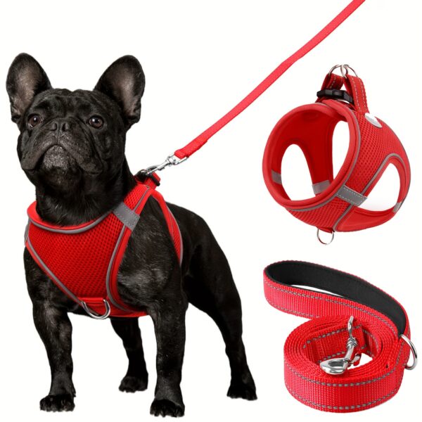 Joytale Reflective Dog Harness and Leash Set - Comfortable, Breathable Mesh Vest with Padded Nylon Lead for Small to Medium Breeds - No-Choke Design with Dual D-Ring & Poop Bag Dispenser, JOYTALE - Image 7