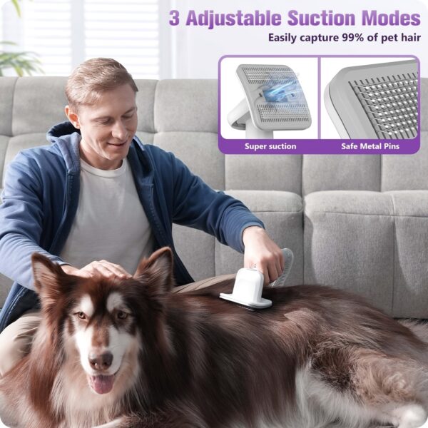 Homeika Pet Grooming Kit, Handheld Vacuum 101.44oz Dog Hair Vacuum Suction 99% Pet Hair, 7 Pet Grooming Tools, Storage Bag, 5 Nozzles, Quiet Pet Vacuum Groomer with Massage Nozzle for Shedding Dogs Cats Purple - Image 2