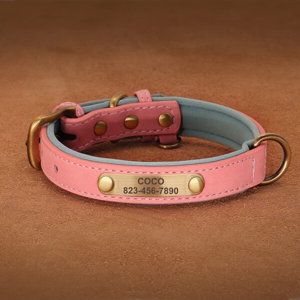 [Custom Dog Collar] Soft Padded Custom Engraved Dog Collar with ID Nameplate - Adjustable Pet Collars for Small to Large Dogs - Solid Pattern, Durable Material, Personalized - Image 6