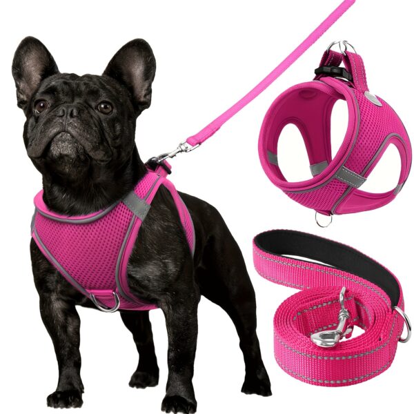 Joytale Reflective Dog Harness and Leash Set - Comfortable, Breathable Mesh Vest with Padded Nylon Lead for Small to Medium Breeds - No-Choke Design with Dual D-Ring & Poop Bag Dispenser, JOYTALE - Image 18