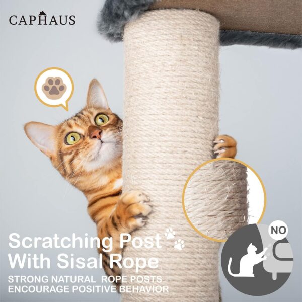 CAPHAUS Tall Cat Tree for Indoor Cats, Modern Cute 70-Inch Climbing Play Tower with Top Perch for Large Kittens, Multi-Level Cat Activity Tree w Scratching Posts, Hammock, Cat Cave Condo - Image 21