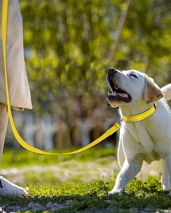 Safe and Comfortable Reflective Double-Sided Dog Leash for Walking and Training - Image 19