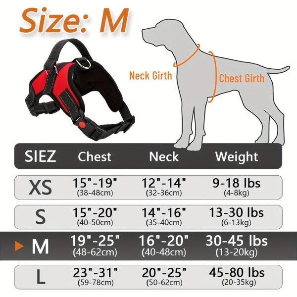 Doglee Ultimate No-Pull Reflective Adjustable Dog Harness with Handle - Premium Comfort, Easy Walking, and Enhanced Visibility - Ideal for Training, Outdoor Adventures, and Everyday Use - Image 26