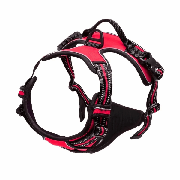 Adjustable No-Pull Dog Harness with Padded Vest and Dual Leash Clips - Prevents Choking and Provides Comfortable Walking Experience - Image 27