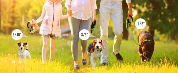 JOYTALE Reflective Dog Leash with Comfortable Padded Handle - Ideal for Small, Medium, and Large Dogs - 4/5/6 FT Length Options Available - Image 61