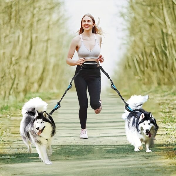 Hands-Free Adjustable Double Handle Dog Leash - Elastic Retractable Rope for Large and Medium Dogs - Perfect for Running, Jogging, and Walking with Your Pet - Image 6