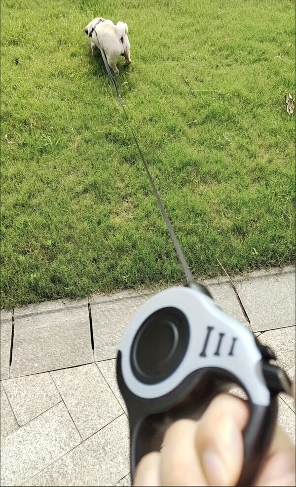 Make Outdoor Walks Easier With This Automatic Retractable Dog Leash - 3/5 Meter Minimalist Design! - Image 36
