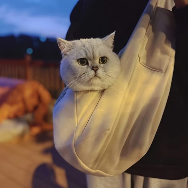 Pet Sling Carrier, Soft Pet Carrier, Dog And Cat Travel Bag For Outdoor, Dog Carrier, Cat Carrier, Travel Companion For Puppies, Kittens & Small Animals Christmas Gift - Image 19