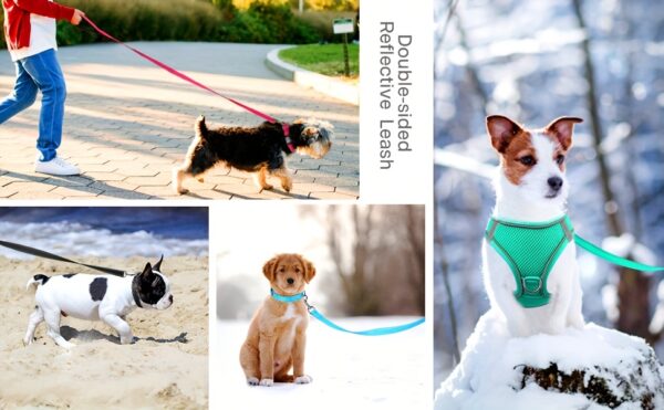 Joytale Reflective Dog Harness and Leash Set - Comfortable, Breathable Mesh Vest with Padded Nylon Lead for Small to Medium Breeds - No-Choke Design with Dual D-Ring & Poop Bag Dispenser, JOYTALE - Image 21