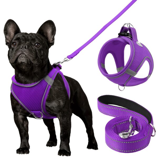 Joytale Reflective Dog Harness and Leash Set - Comfortable, Breathable Mesh Vest with Padded Nylon Lead for Small to Medium Breeds - No-Choke Design with Dual D-Ring & Poop Bag Dispenser, JOYTALE - Image 16