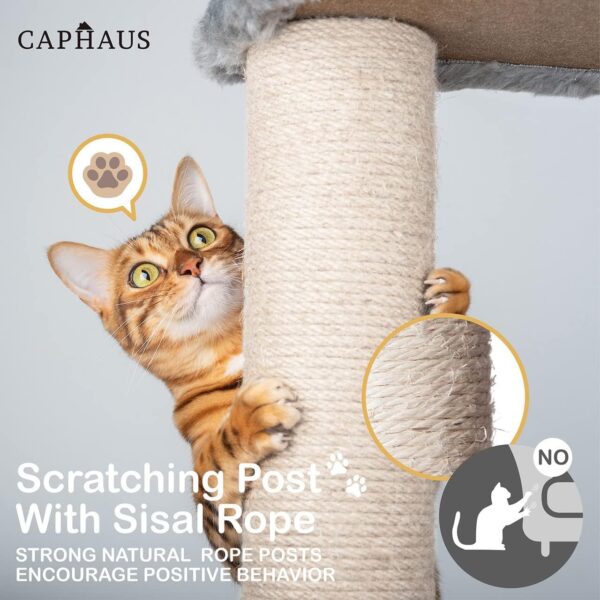 CAPHAUS Tall Cat Tree for Indoor Cats, Modern Cute 70-Inch Climbing Play Tower with Top Perch for Large Kittens, Multi-Level Cat Activity Tree w Scratching Posts, Hammock, Cat Cave Condo - Image 12
