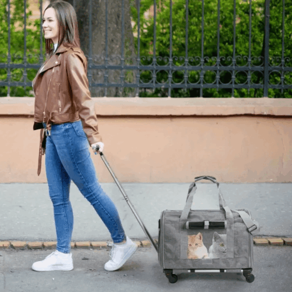 [Extra Large Pet Carrier] Spacious Extra Large Foldable Pet Travel Carrier - Detachable Design, Secure Nylon Trolley Case for Dogs and Cats, Blue, Zipper Closure, Comfortable Wheels for On-the-Go Adventures, Pet Travel Gear | Detachable Pet Carrier | Stur - Image 10