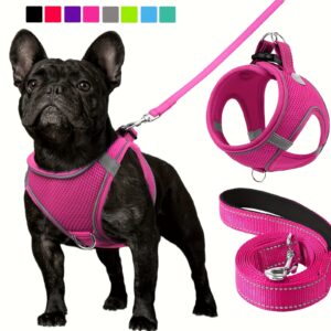 Joytale Reflective Dog Harness and Leash Set - Comfortable, Breathable Mesh Vest with Padded Nylon Lead for Small to Medium Breeds - No-Choke Design with Dual D-Ring & Poop Bag Dispenser, JOYTALE