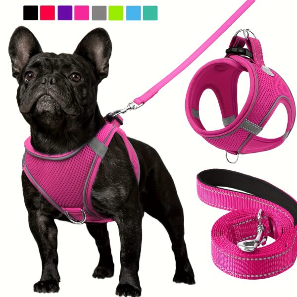 Joytale Reflective Dog Harness and Leash Set - Comfortable, Breathable Mesh Vest with Padded Nylon Lead for Small to Medium Breeds - No-Choke Design with Dual D-Ring & Poop Bag Dispenser, JOYTALE
