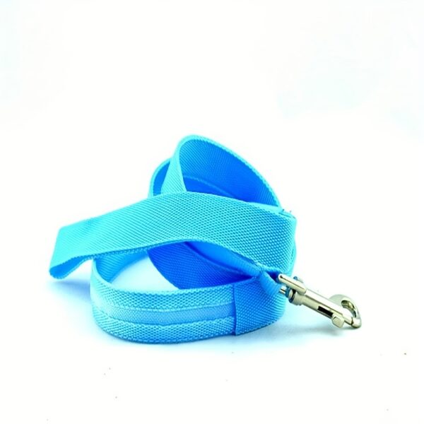 Secure Night Walks: Enhanced Visibility Glow & LED Dog Leash, Durable and Stylish for Your Pet's Safety and Comfort - Image 10