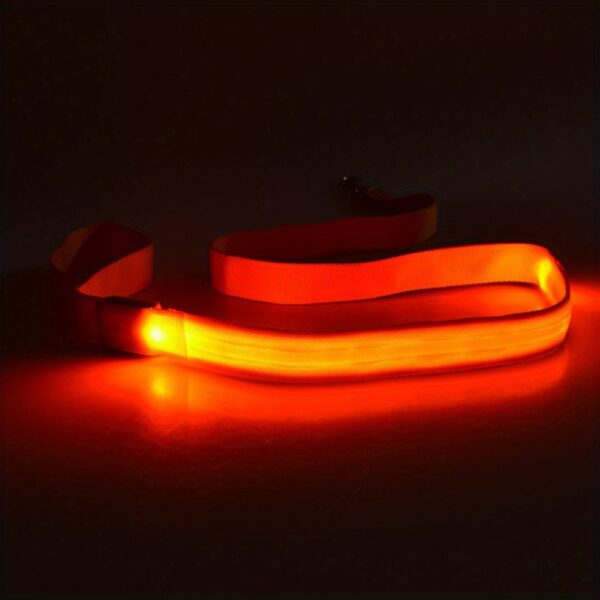Secure Night Walks: Enhanced Visibility Glow & LED Dog Leash, Durable and Stylish for Your Pet's Safety and Comfort - Image 11