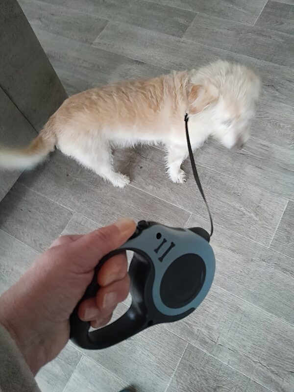 Make Outdoor Walks Easier With This Automatic Retractable Dog Leash - 3/5 Meter Minimalist Design! - Image 33