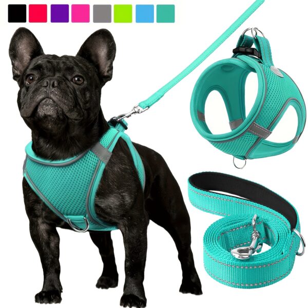 Joytale Reflective Dog Harness and Leash Set - Comfortable, Breathable Mesh Vest with Padded Nylon Lead for Small to Medium Breeds - No-Choke Design with Dual D-Ring & Poop Bag Dispenser, JOYTALE - Image 2