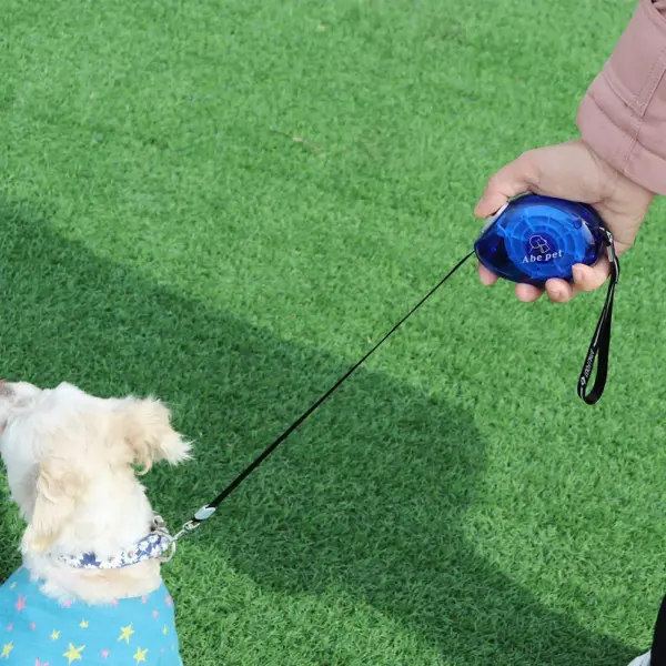 3M Retractable Small Dog Leash Automatic 10ft Dog Cat Leash Belt Extending Dog Lead for Small Dogs Puppy Chihuahua Pet Product - Image 5