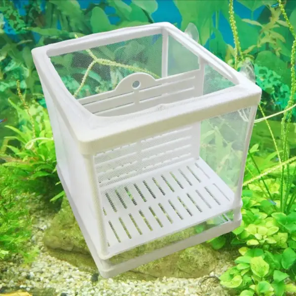 Aquarium Water Isolation Network Hanging Fish Breeding Breeding Isolation Box Aquarium Fish Tank Accessory Two Size Optional 1Pc - Image 6