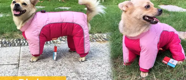 Winter Pet Dog Clothes Super Warm Jacket Thicker Cotton Coat Waterproof Small Dogs Pets Clothing For French Bulldog Puppy - Image 62