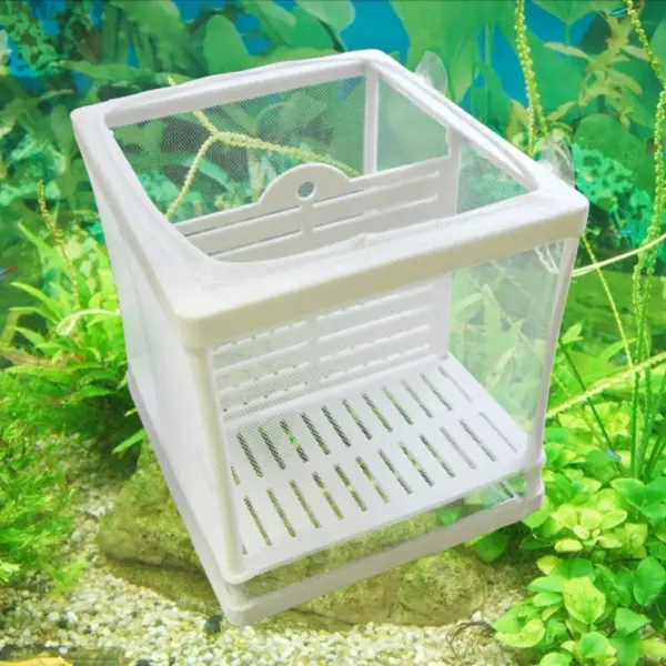 Aquarium Water Isolation Network Hanging Fish Breeding Breeding Isolation Box Aquarium Fish Tank Accessory Two Size Optional 1Pc - Image 13