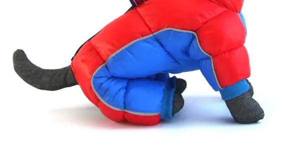 Winter Pet Dog Clothes Super Warm Jacket Thicker Cotton Coat Waterproof Small Dogs Pets Clothing For French Bulldog Puppy - Image 143