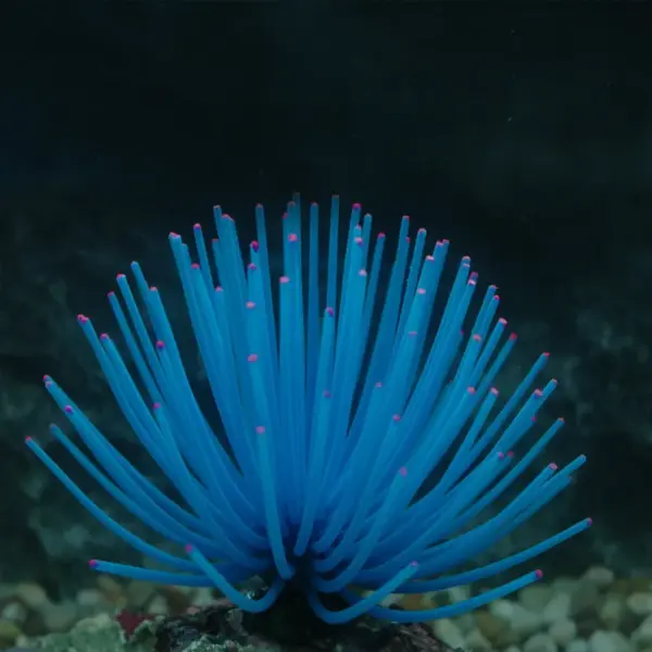 Aquarium Silicone Simulation Artificial Fish Tank Fake Coral Plant Underwater Aquatic Sea Anemone Ornament Decoration Accessory - Image 27