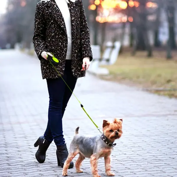 Retractable Dog Leash Automatic Extending Nylon Puppy Pet Dog Leashes Lead Dog Walking Running Leash Traction Rope 3m 5m 8m - Image 5